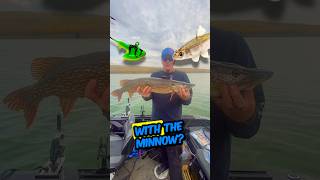 How To Catch Fall Pike -