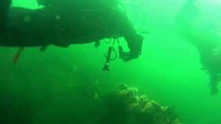 Scharendijke Duikfilm