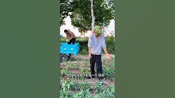 Fruit Ninja … Game Over! 🤣