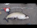 Toy rod fishing challenge - Catfishing with kids