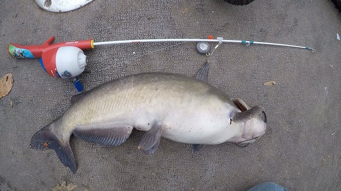 GIANT fish on TINY RODS! Toy rod fishing challenge! 