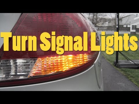 Turn Signal Lights