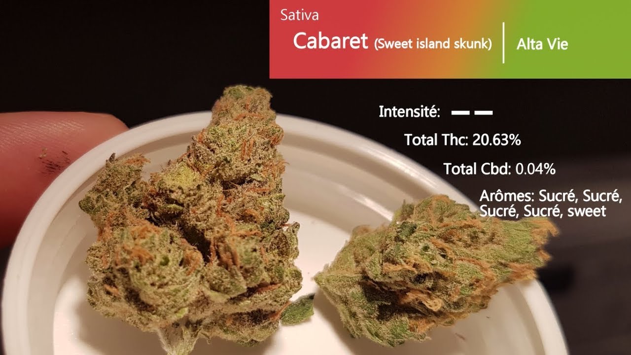 Cannabis récréatif SQDC #06: Cabaret (Sweet Island Skunk)
