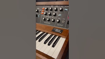 Moog Model D 2023: First patch!