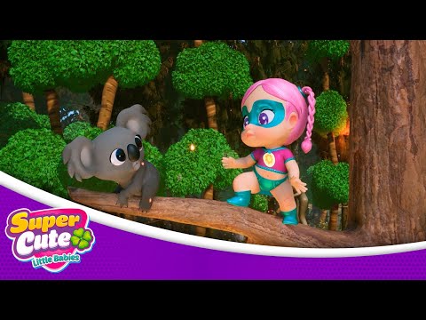 SUPERCUTE LITTLE BABIES en ESPAÑOL LATINO - El Koala sin casa 🐨 [1x2] 🍀🍼| DIBUJOS ANIMADOS