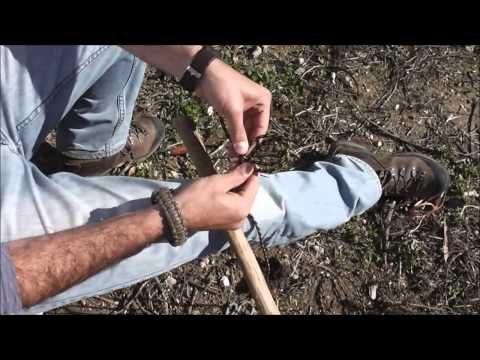 הישרדות - קביעת (קשר) מוט