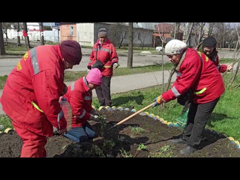 Рабочие КП «Харьковблагоустройство» начали высаживать цветы в Холодногорском районе