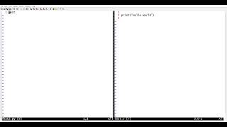 GVIM Basic Commands Demonstration Net Worth