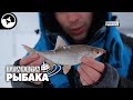 Зимняя плотва. Иваново | Планета рыбака