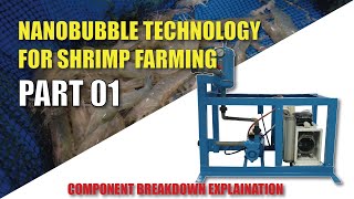 Nanobubble Aeration for Shrimp Farming (Part 1)