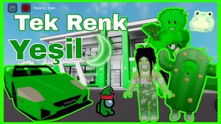 Tek Renk Yeşil Roblox Brookhaven