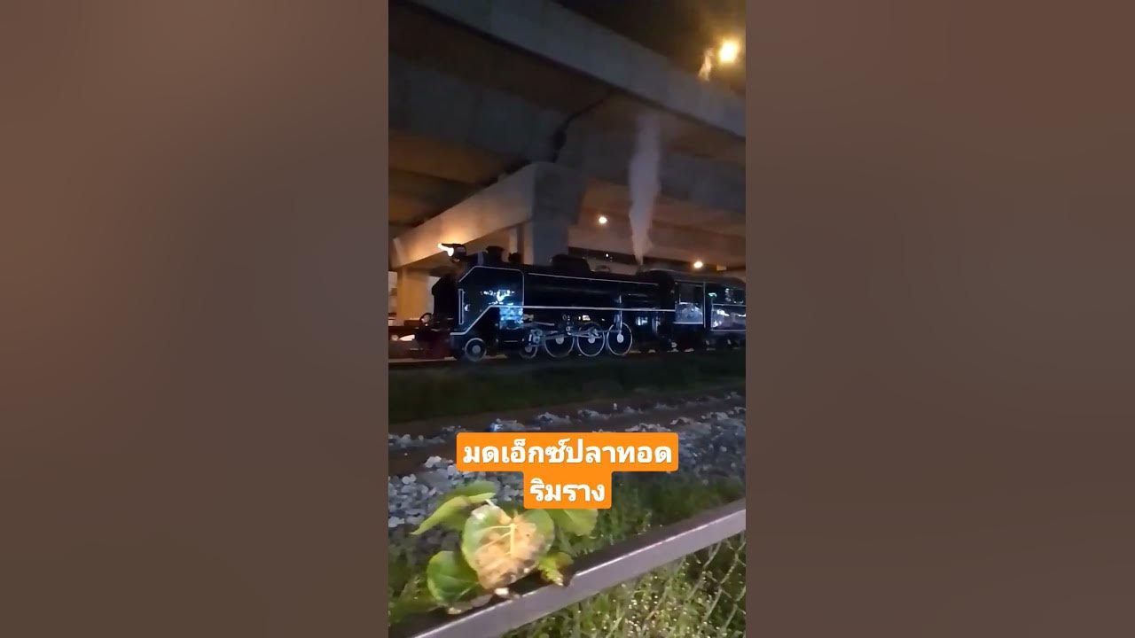 #เรือนรางแต่ไม่จางหาย #ฝากกดติดตามด้วยครับ #ครอบครัวปลาทอด - YouTube #เรือนรางแต่ไม่จางหาย #ฝากกดติดตามด้วยครับ #ครอบครัวปลาทอด - Youtube