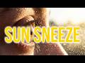 ACHOO Syndrome: Why the Sun Makes You Sneeze