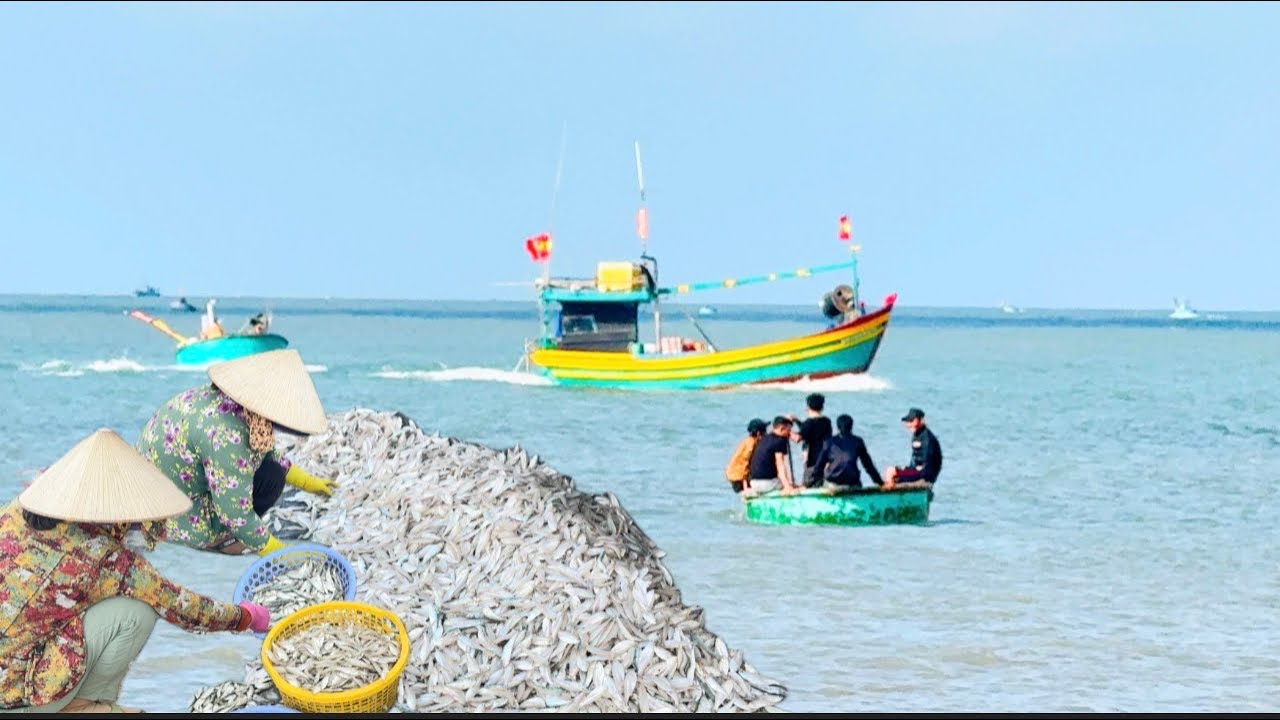 BIỂN LONG HẢI VÀ PHƯỚC HẢI TRÚNG CÁ MAI 