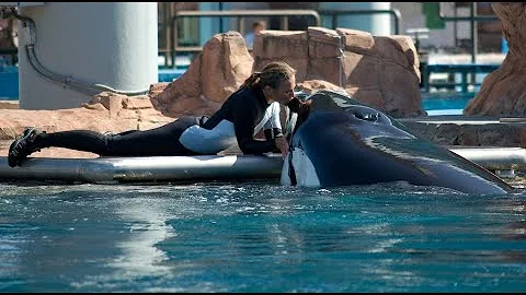 Tilikum and Dawn Brancheau - Blackfish Scene