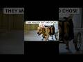 Disabled Shelter Dogs Choose Their Own Owners — You Won't Believe The Last One 🐾😭  #viral#aivideo