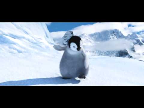 Vídeo: Quais são os pinguins em pés felizes?