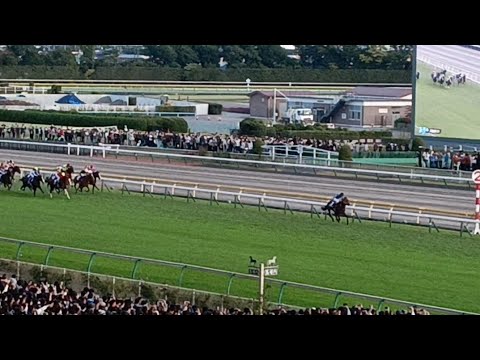 第166回·天皇賞(秋)〜現地·東京競馬場〜鬼脚！イクイノックス…GI制覇！