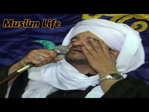 الشيخ أمين الدشناوي شمس الحب 