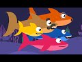 Baby shark  nursery rhymes