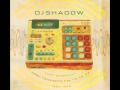 Video thumbnail for DJ Shadow-Freddi's Popcorn