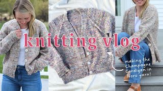 The Making of the Champagne Cardigan with Noro Madara yarn | A Knitting Vlog screenshot 5