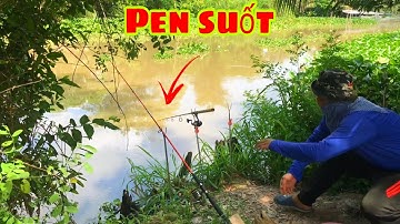 Câu Cá Tra Sông - Bãi Này Quăng Câu Xuống Cá Ăn Liên Tục | Fishing - Miền Tây