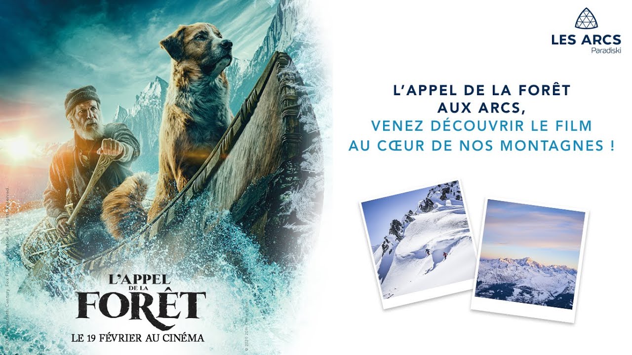 L'Appel de la forêt en DVD : L'Appel de la forêt - AlloCiné