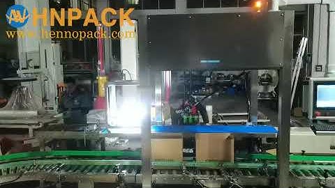 stand up pouch bag spider robotic carton packer