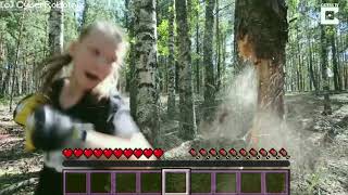 Minecraft IRL meme lol funny xd