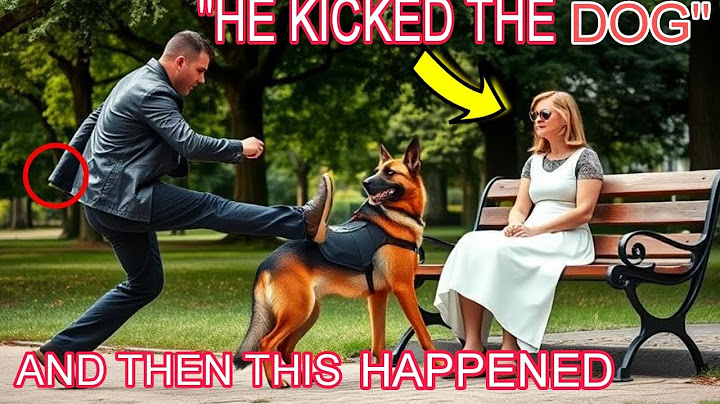 Motorcyclist Kicks Blind Woman’s Dog — Then Learns the Truth About Him and Freezes!