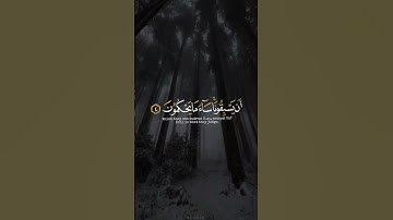 اكتب شي تؤجر عليه ♡✨️ | القارئ عبدالرحمن مسعد | قرآن كريم