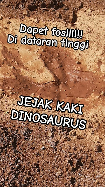 AKU ADALAH SHELLY🦖🦕🦣🦬#dandysworld #SHELLYDINOSAURUS