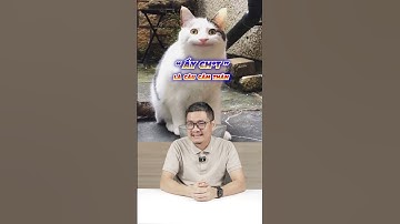 Hỏi đáp nhanh: từ có nhiều nghĩa nhất trong Tiếng Việt #shorts