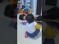 1歳になる弟を一番近くで面倒見てくれてたゆずちゃん、1年間お疲れさまでした。 #Shorts