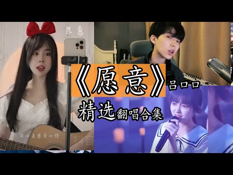 【抖音热门翻唱】《愿意》- 吕口口精选翻唱合集。【我愿意 与你一起经历回忆 往后的四季 我都愿意愿意去爱你 】