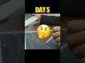 Day 5 stock market