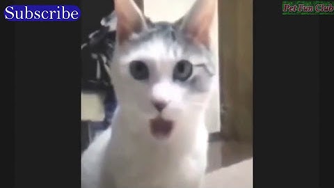 Ultimate Fails Compilation 2016: Part 1 (December 2016) || FailArmy