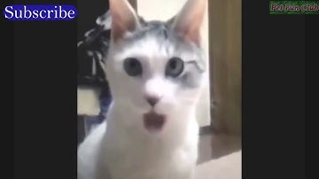 Ultimate Fails Compilation 2016: Part 1 (December 2016) || FailArmy