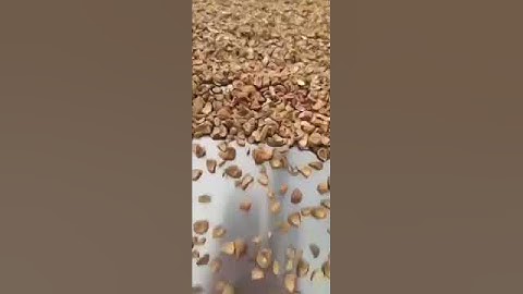 Working video for large specific gravity separator 2000kg per hour