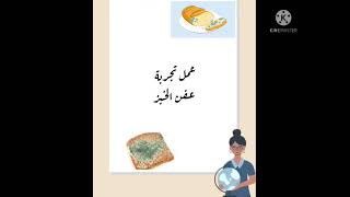 تجربة عفن الخبز للصف السادس عمل الطالبة :العنود عبيد الله المالكي