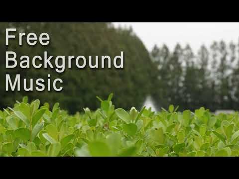 【フリーBGM】失ったもの - 感動系のBGM