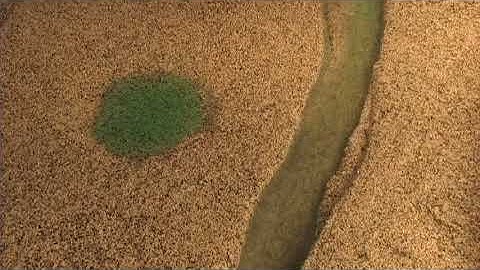 River Geomorphology (17) - Wetland Draining Caused by Incision, Oblique Upstream View