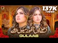 Gulaab new song  dhole kon aakho na mekon rowave  gulaab  official music 2024 tp gold