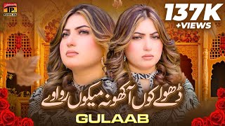 Gulaab New Song | Dhole Kon Aakho Na Mekon Rowave | Gulaab | (Official Music Video 2024) Tp Gold