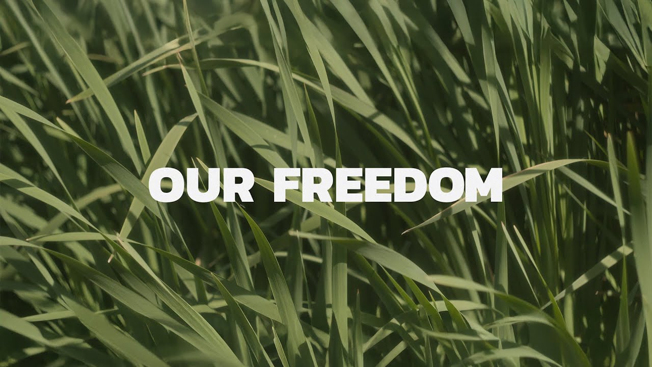 Our Freedom - Nathan Towers