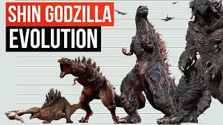 Evolution Of Shin Godzilla | Size Comparison