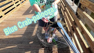 Blue Crab-palooza! by Troy Bell Outdoors 297 views 1 year ago 30 minutes