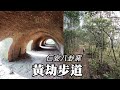 八卦祕境！新竹關西～黃劫步道、仁安八卦窯 (Huangjie Trail, Guanxi, Hsinchu County  )