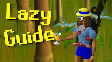 A Lazy Skillers Guide to 2 Tick Teaks